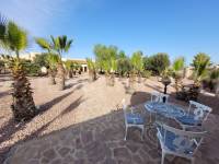 Venta - Villa con anexo - Crevillente - Crevillent