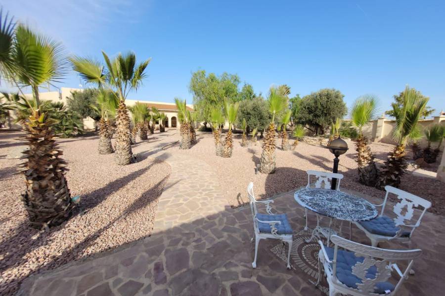 Venta - Villa con anexo - Crevillente - Crevillent