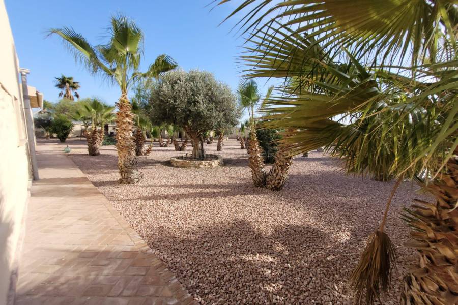Venta - Villa con anexo - Crevillente - Crevillent