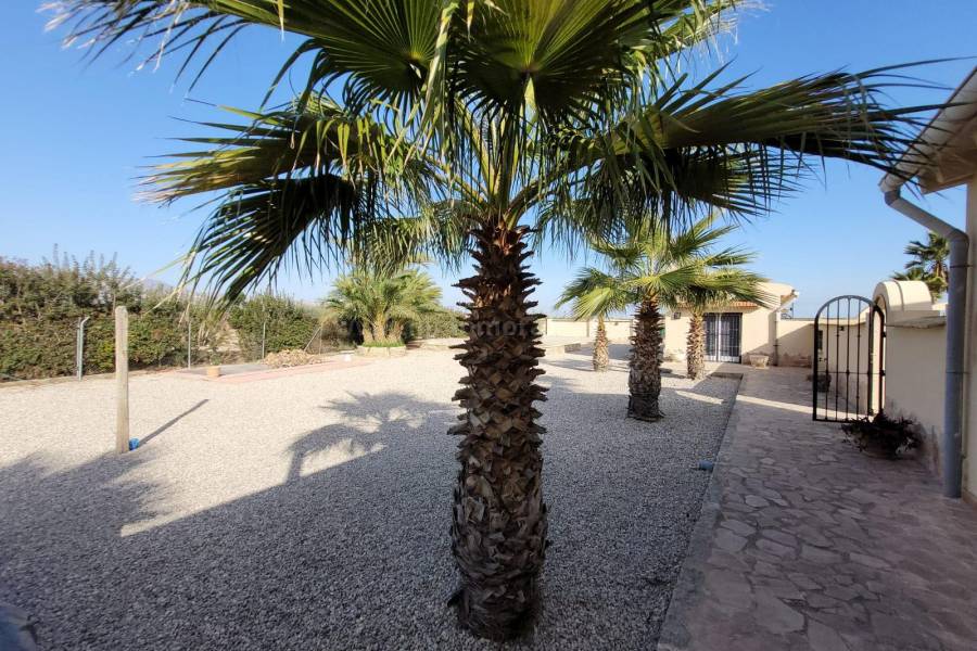 Venta - Villa con anexo - Crevillente - Crevillent