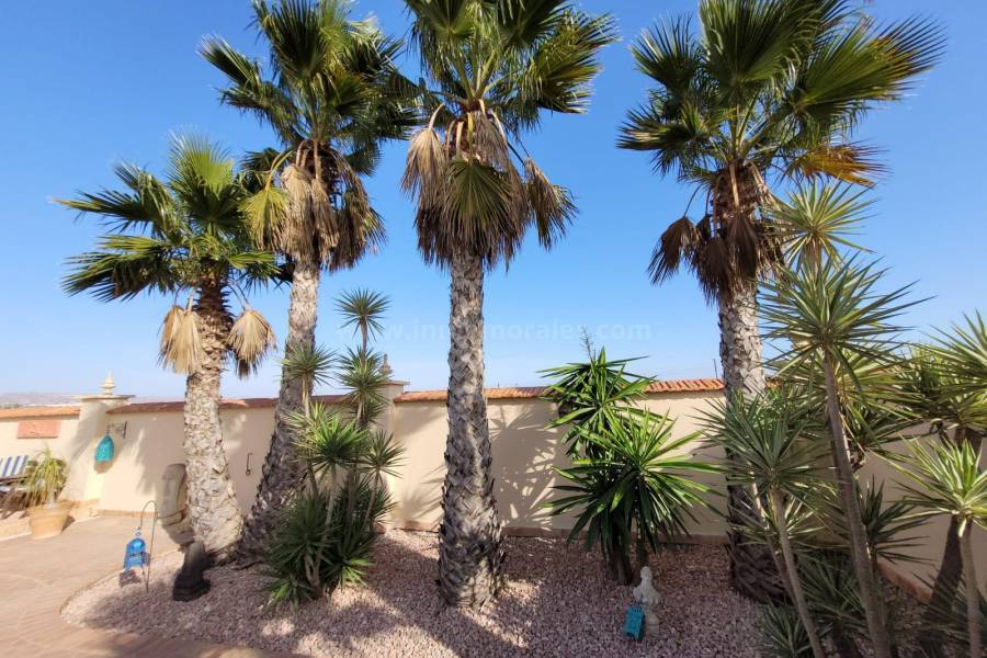 Venta - Villa con anexo - Crevillente - Crevillent