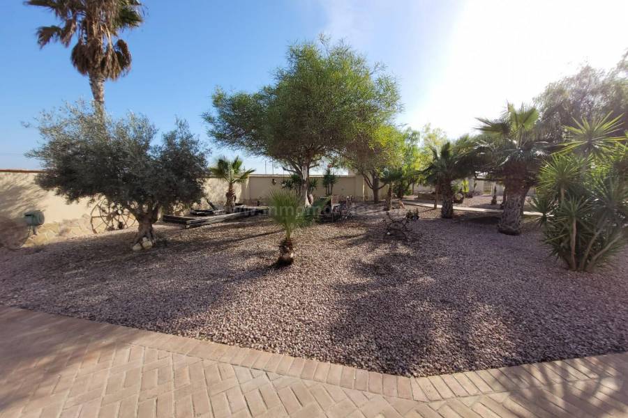 Venta - Villa con anexo - Crevillente - Crevillent