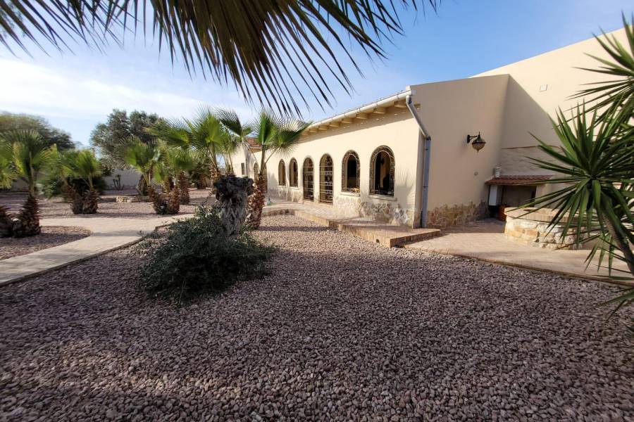 Venta - Villa con anexo - Crevillente - Crevillent