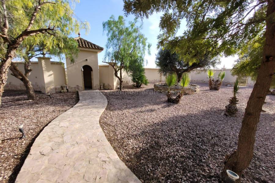 Venta - Villa con anexo - Crevillente - Crevillent