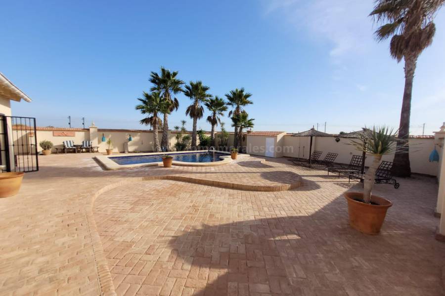 Venta - Villa con anexo - Crevillente - Crevillent