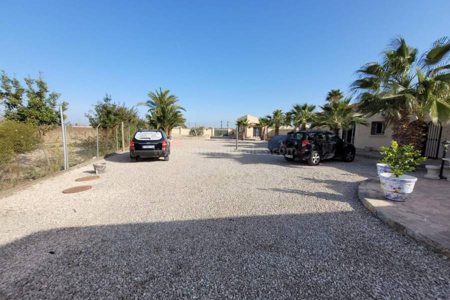 Venta - Villa con anexo - Crevillente - Crevillent