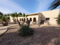 Venta - Villa con anexo - Crevillente - Crevillent