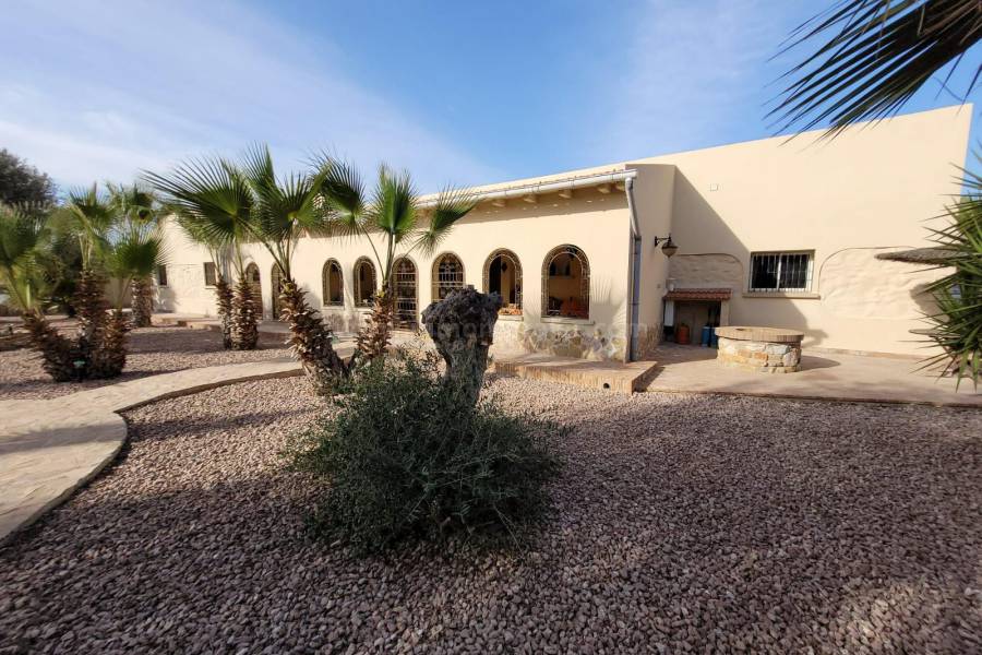 Venta - Villa con anexo - Crevillente - Crevillent