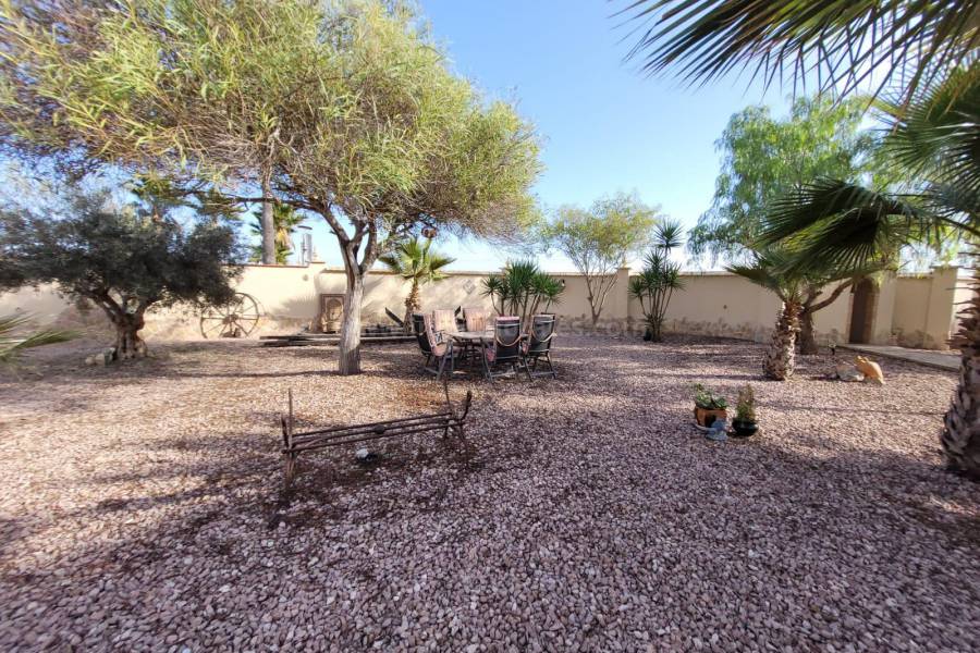 Venta - Villa con anexo - Crevillente - Crevillent