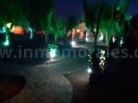 Venta - Villa con anexo - Crevillente - Crevillent