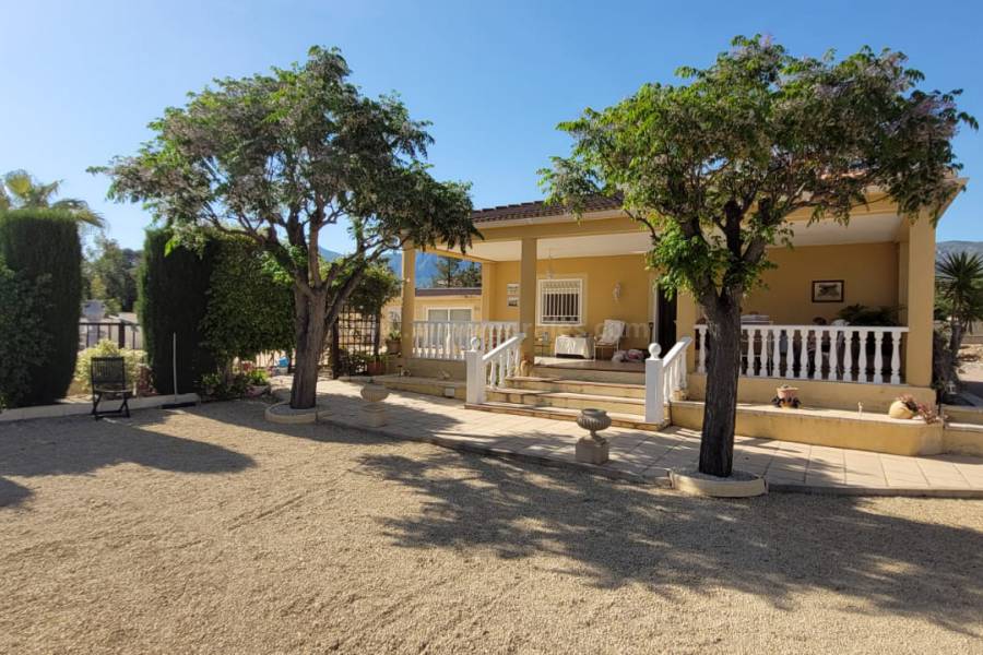 Venta - Villa con anexo - Crevillente - Crevillent