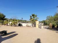 Venta - Villa con anexo - Crevillente - Crevillent