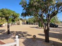 Venta - Villa con anexo - Crevillente - Crevillent