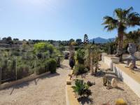 Venta - Villa con anexo - Crevillente - Crevillent