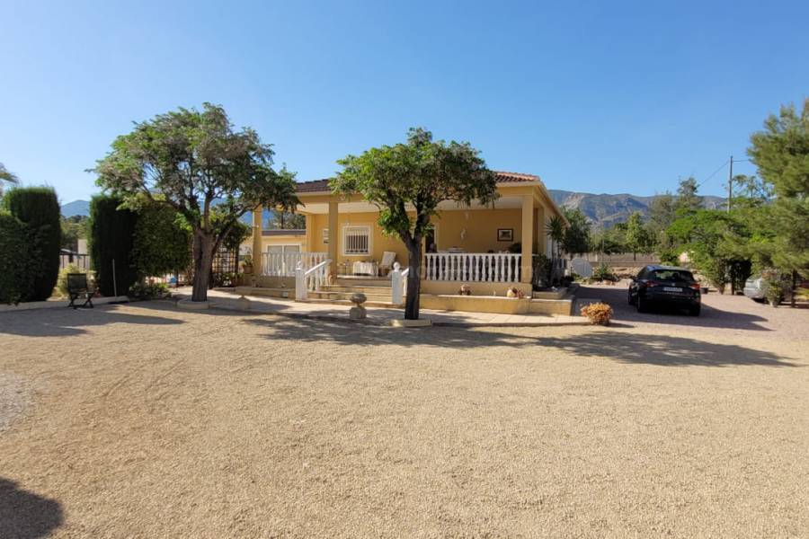 Venta - Villa con anexo - Crevillente - Crevillent
