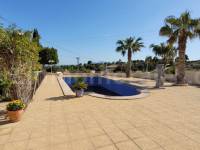 Venta - Villa con anexo - Crevillente - Crevillent