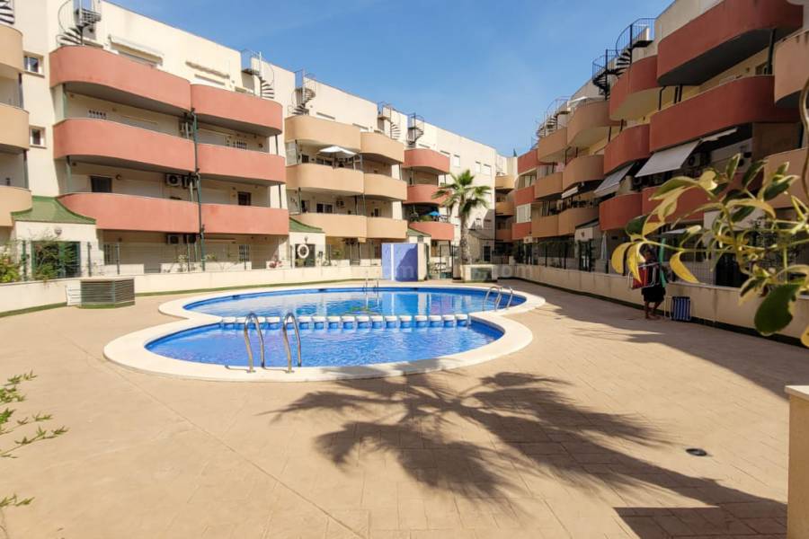 Revente - Appartement - Almoradí