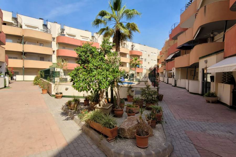 Revente - Appartement - Almoradí