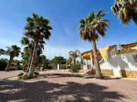 Revente - Villa ( Finca ) - Catral