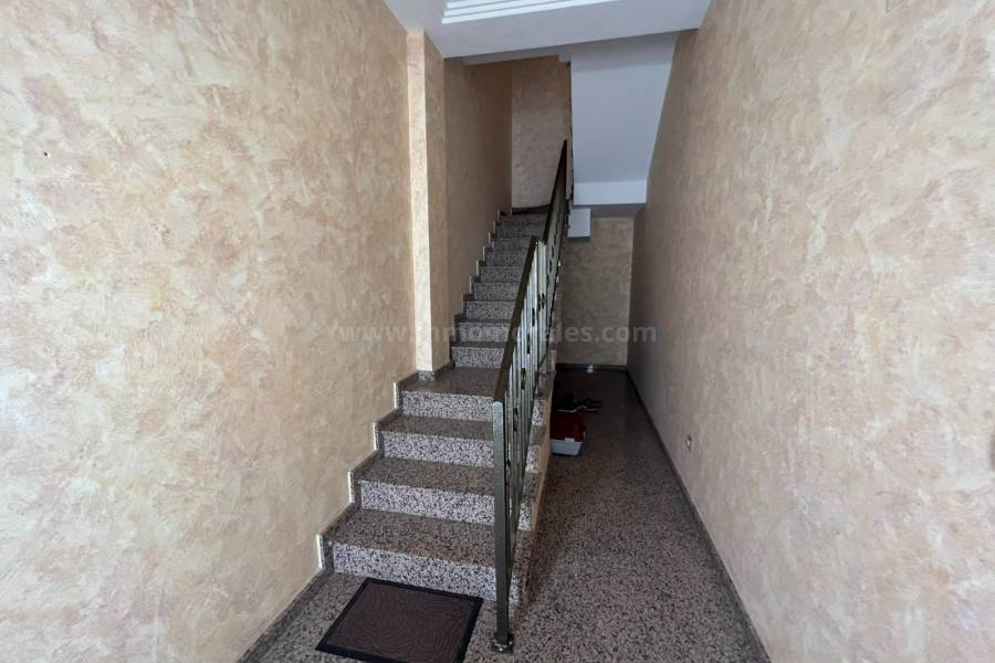 Venta - Casa de pueblo - Almoradí