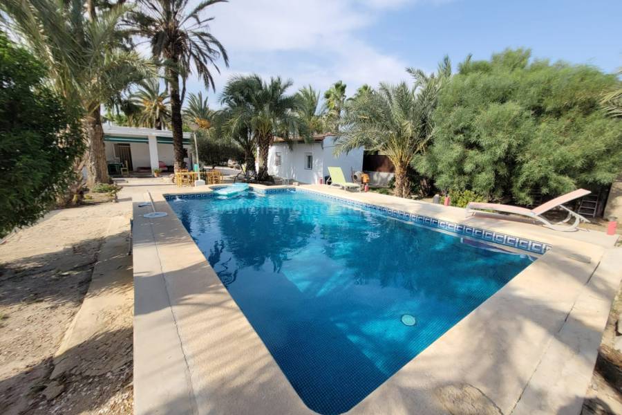 Revente - Villa ( Finca ) - Elche