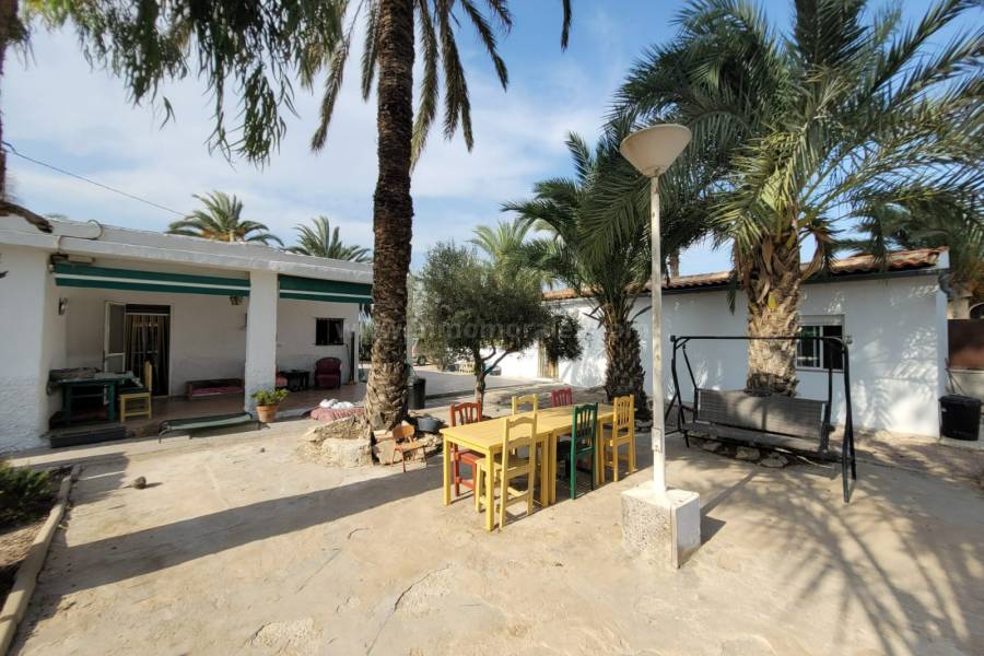 Revente - Villa ( Finca ) - Elche