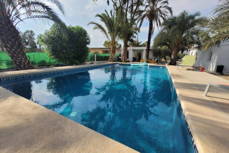 Revente - Villa ( Finca ) - Elche