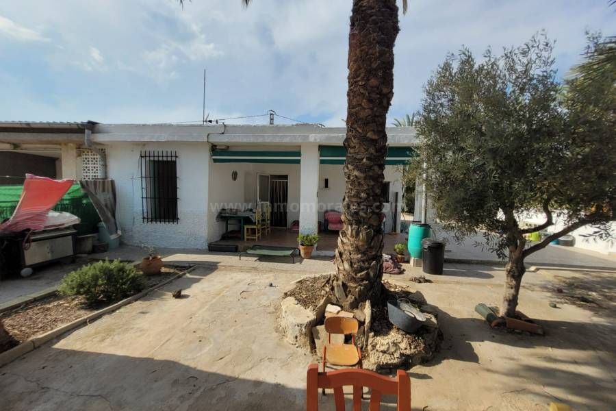 Revente - Villa ( Finca ) - Elche