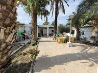 Revente - Villa ( Finca ) - Elche