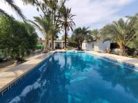Revente - Villa ( Finca ) - Elche