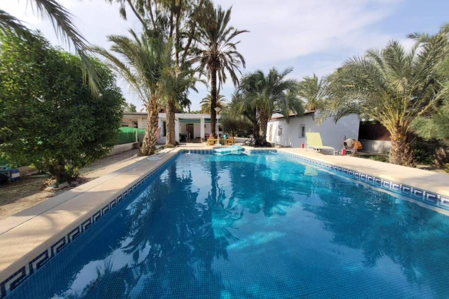 Revente - Villa ( Finca ) - Elche