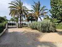 Revente - Villa ( Finca ) - Elche