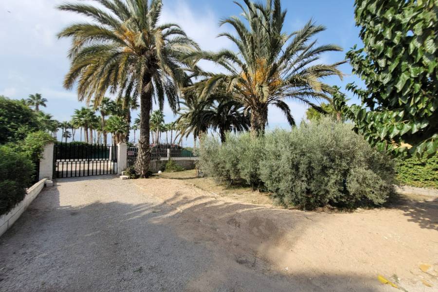 Revente - Villa ( Finca ) - Elche