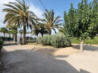 Revente - Villa ( Finca ) - Elche