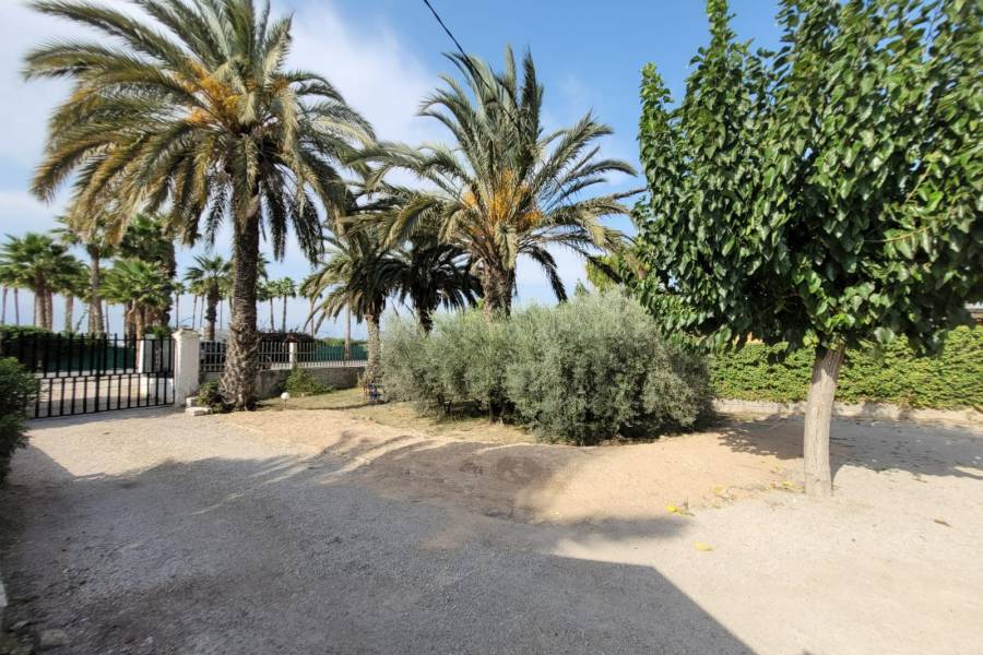 Revente - Villa ( Finca ) - Elche
