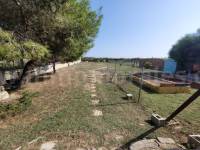 Revente - Villa ( Finca ) - Elche