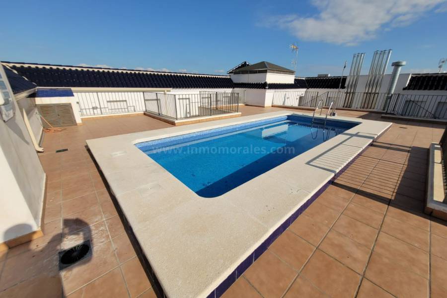 Venta - Apartamento / Piso - Almoradí