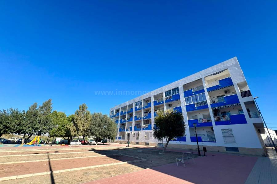 Venta - Apartamento / Piso - Almoradí