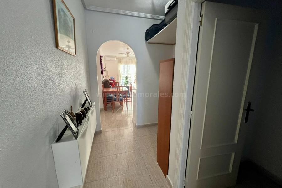 Revente - Appartement - Almoradí