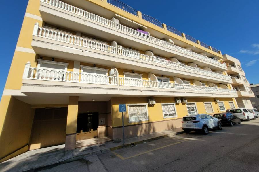 Venta - Apartamento / Piso - Almoradí