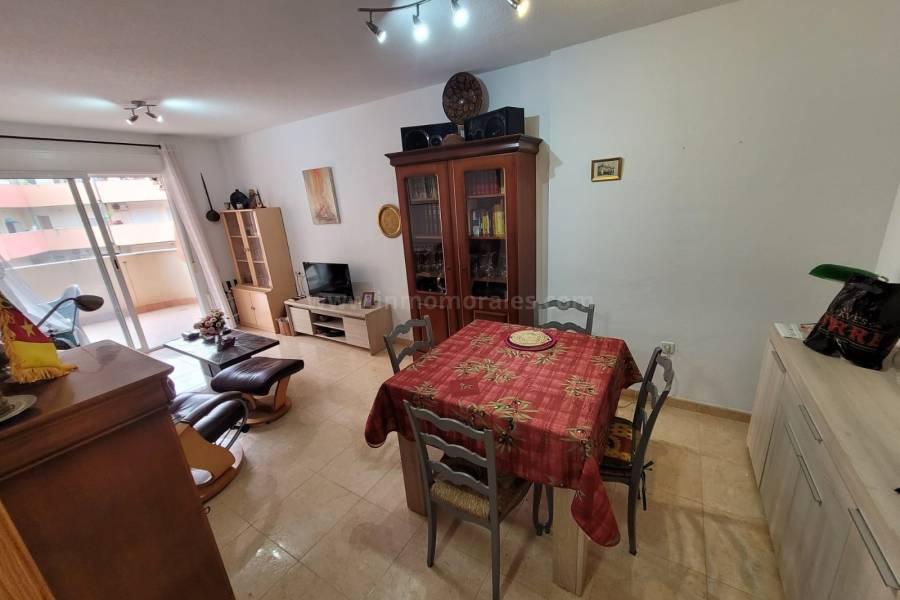 Venta - Apartamento / Piso - Almoradí