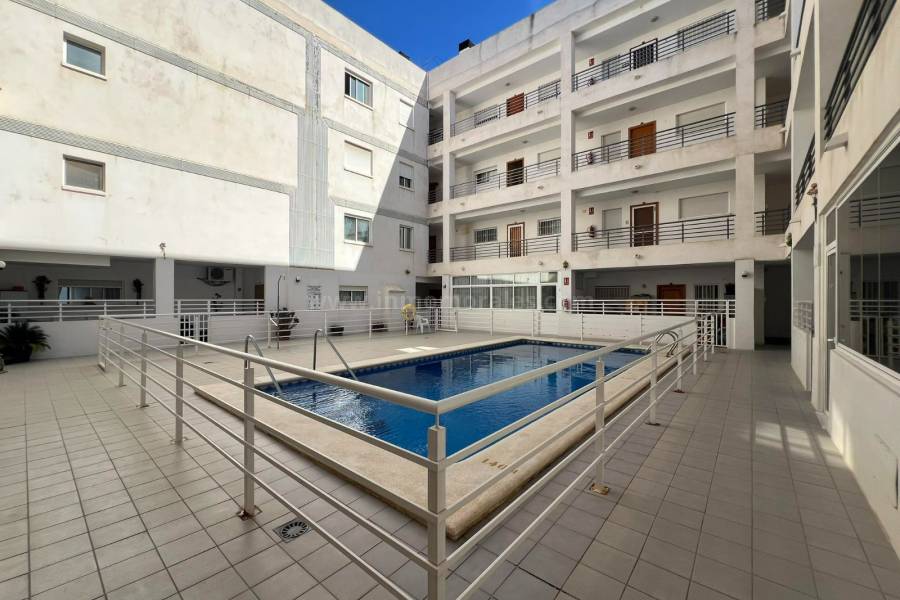 Venta - Apartamento / Piso - Almoradí