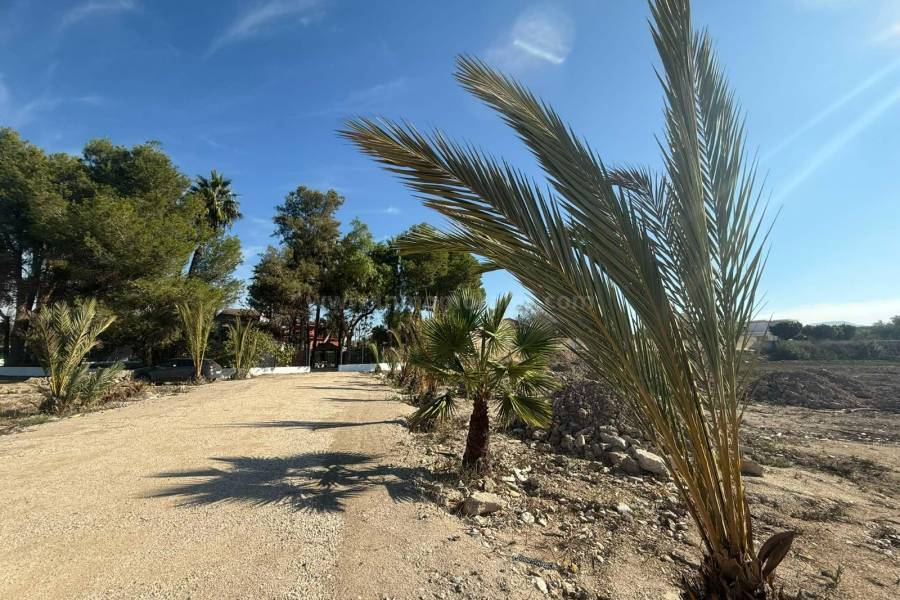 Herverkoop - Villa ( Finca ) - Orihuela