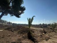 Herverkoop - Villa ( Finca ) - Orihuela