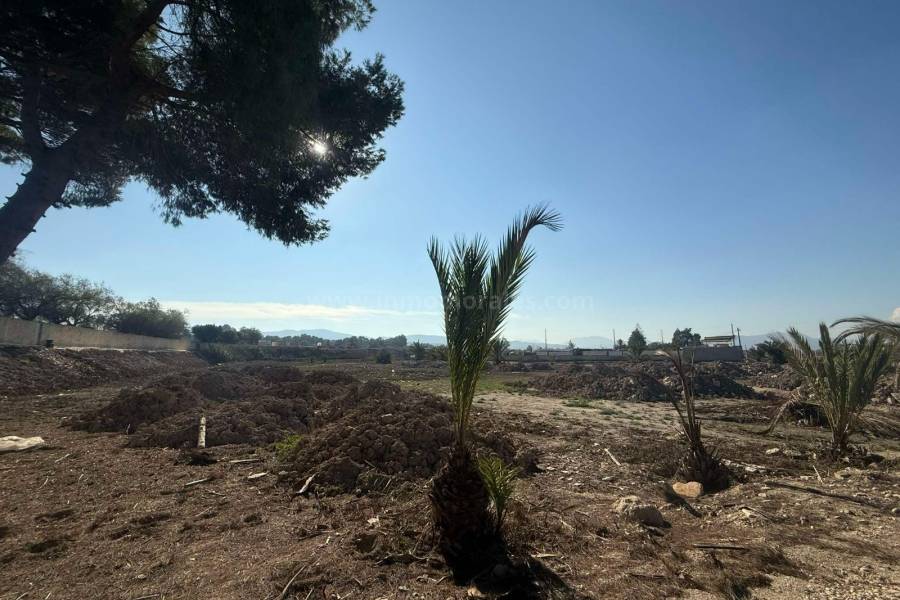 Herverkoop - Villa ( Finca ) - Orihuela