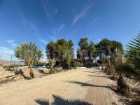 Herverkoop - Villa ( Finca ) - Orihuela