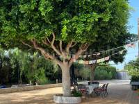 Wiederverkauf - Villa ( Finca ) - Crevillente - Crevillent