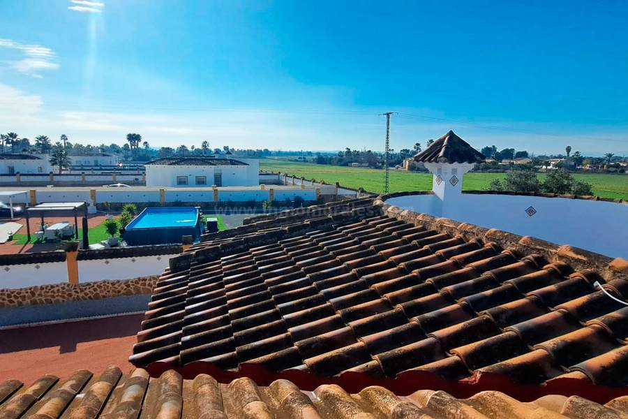 New Build - Country Villa   - Catral