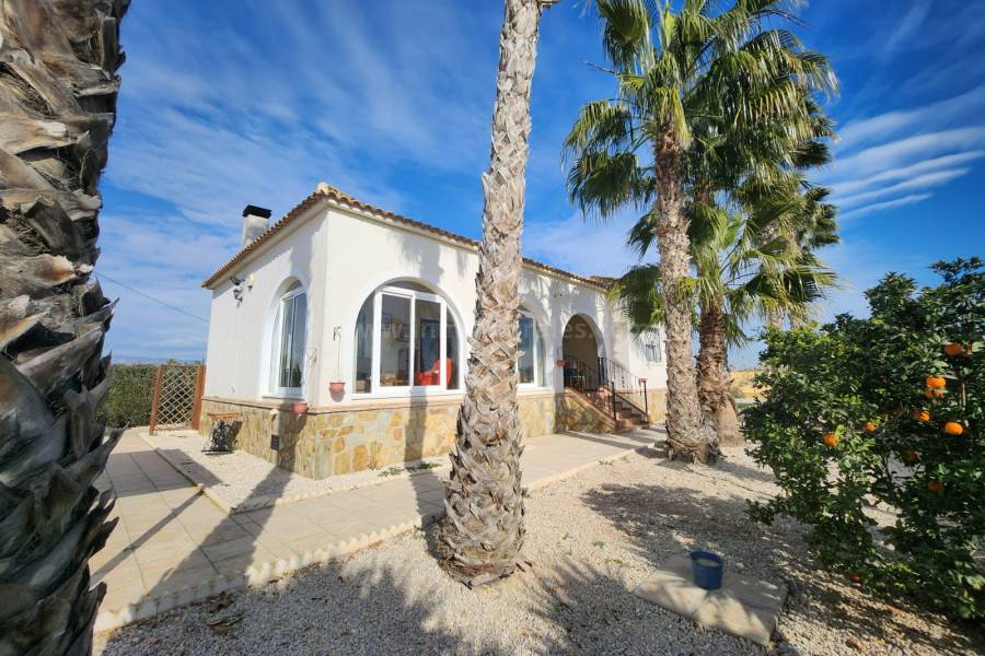 Wiederverkauf - Villa ( Finca ) - Catral