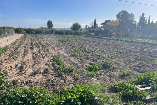 Land - Resale - Almoradí - Almoradí